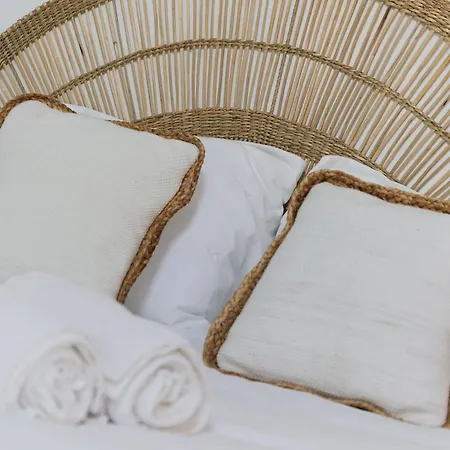 Cosy - Entre Le Chateau Des Ducs Et Le Jardin Des Plantes Apartment Nantes