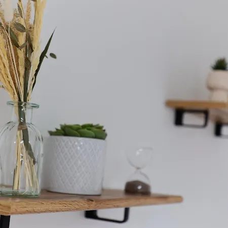 Cosy - Entre Le Chateau Des Ducs Et Le Jardin Des Plantes Apartment
