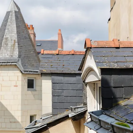Cosy - Entre Le Chateau Des Ducs Et Le Jardin Des Plantes