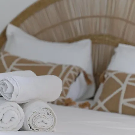 Apartment Cosy - Entre Le Chateau Des Ducs Et Le Jardin Des Plantes Nantes