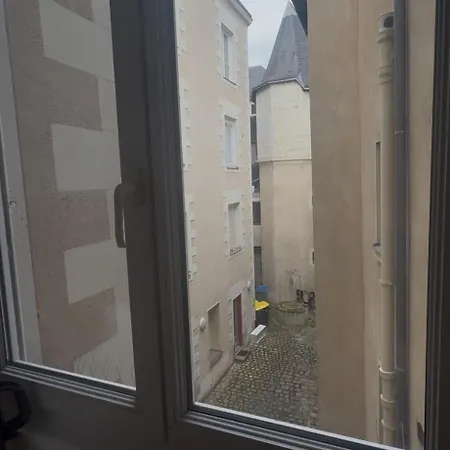 Cosy - Entre Le Chateau Des Ducs Et Le Jardin Des Plantes Apartment Nantes